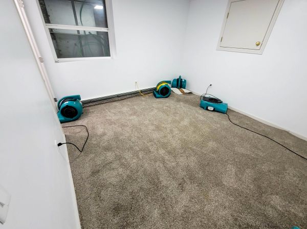 Flood Restoration Service in Murrieta