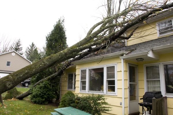 Hurricane Damage Repair in Murrieta