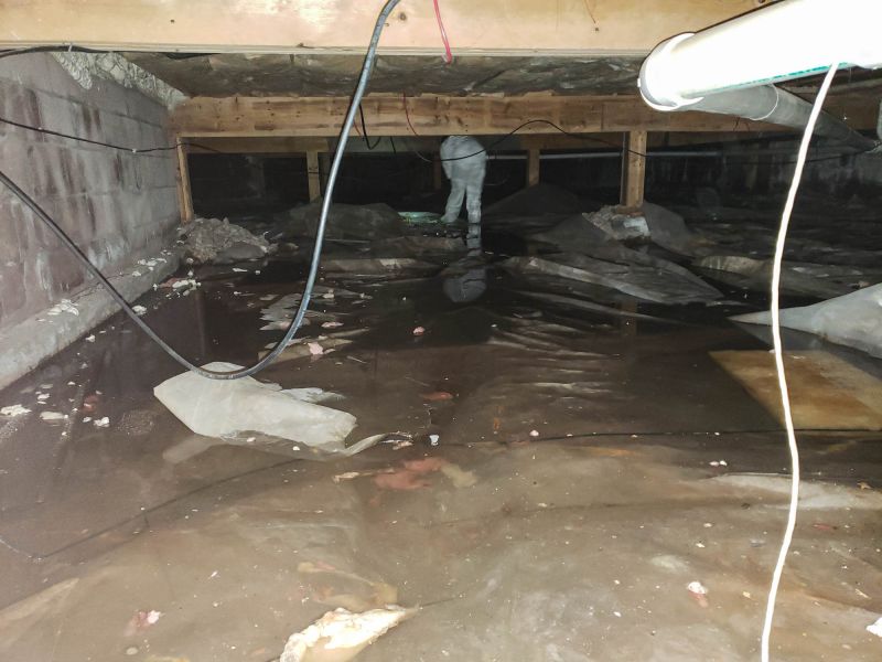 Basement Water Extraction