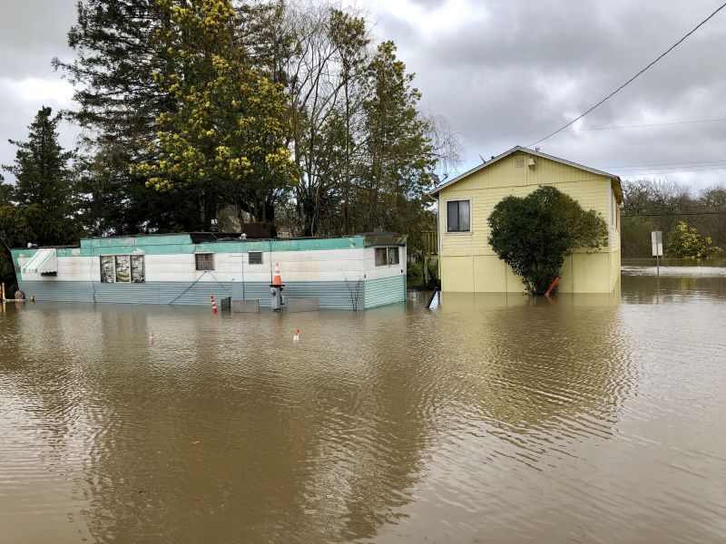 Flood Cleanup Service
