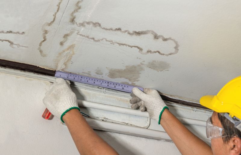 Water Damage Assessment