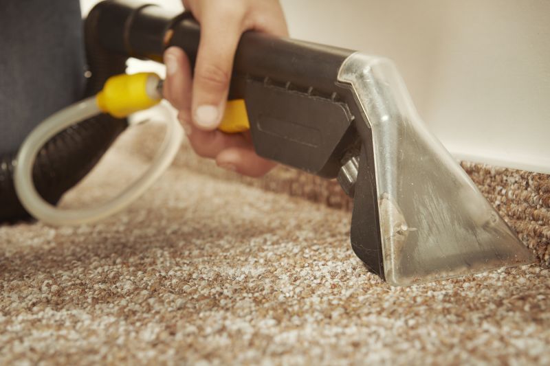 Wet Carpet Drying